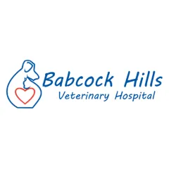 babcock-hills-vet-hospital