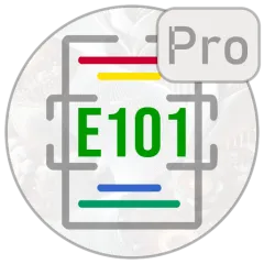 e-code-inspector-pro