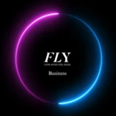 fly-business