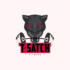 t-satchfit