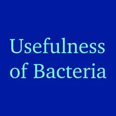 importance-of-bacteria