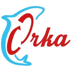 orka-acct-consultants