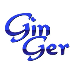 ginger-indian-street-food